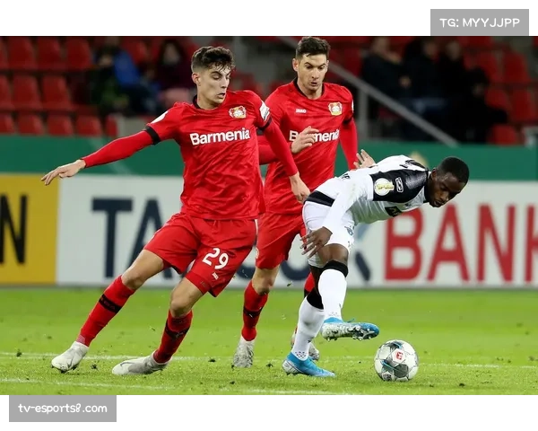 帕德博恩依靠马里诺关键扑救,补时逼平勒沃库森 帕德博恩依靠马里诺关键扑救,补时逼平勒沃库森