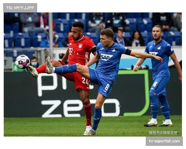 沃尔夫斯堡0-2霍芬海姆,主队球迷提前离场 沃尔夫斯堡0-2霍芬海姆,主队球迷提前离场