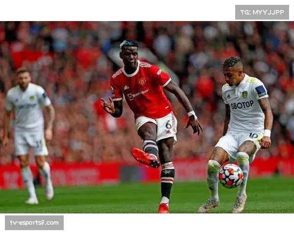 球员合同纠纷案增多,联盟拟规范管理 球员合同纠纷案增多,联盟拟规范管理