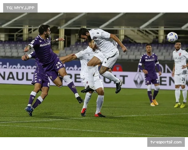 意甲联赛最新版权费用分配方案探讨，中小球队生存状况引关注