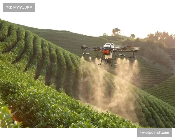 无人机拍摄提供独特视角,增强内容吸引力 无人机拍摄提供独特视角,增强内容吸引力