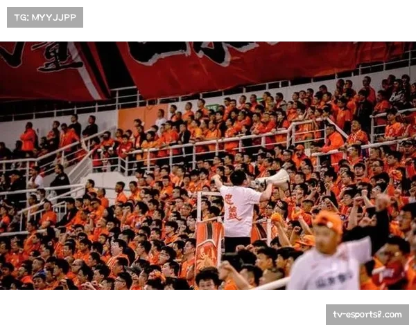 6655外援新政全面落地,中超引援呈现梯度分明特征 6655外援新政全面落地,中超引援呈现梯度分明特征